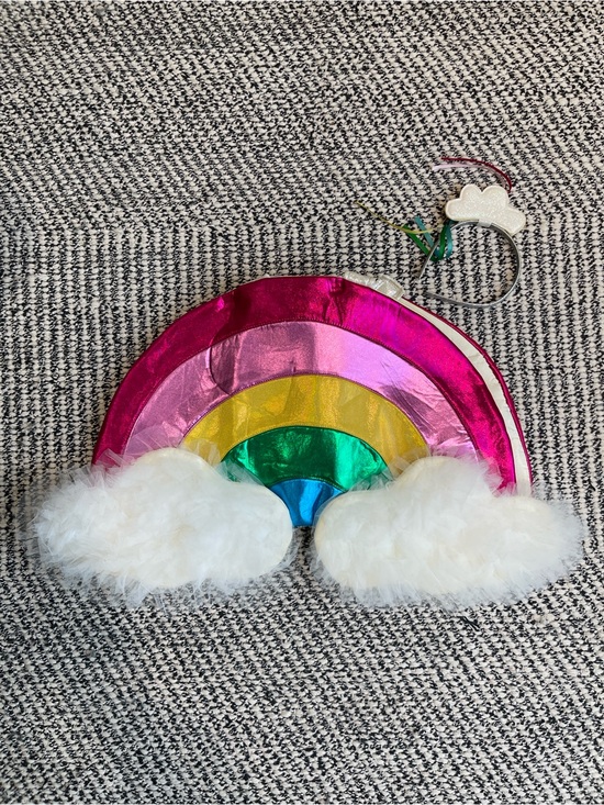 Pottery Barn Kids Other - Pottery Barn Kids Rainbow Costume